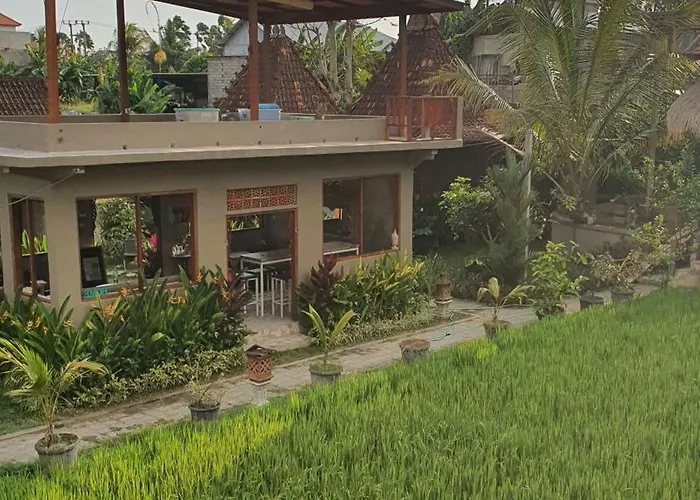 旅馆 Rice Field House 乌布